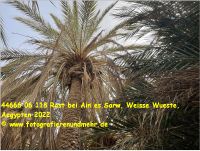 44666 06 118 Rast bei Ain es.Sarw, Weisse Wueste, Aegypten 2022.jpg
